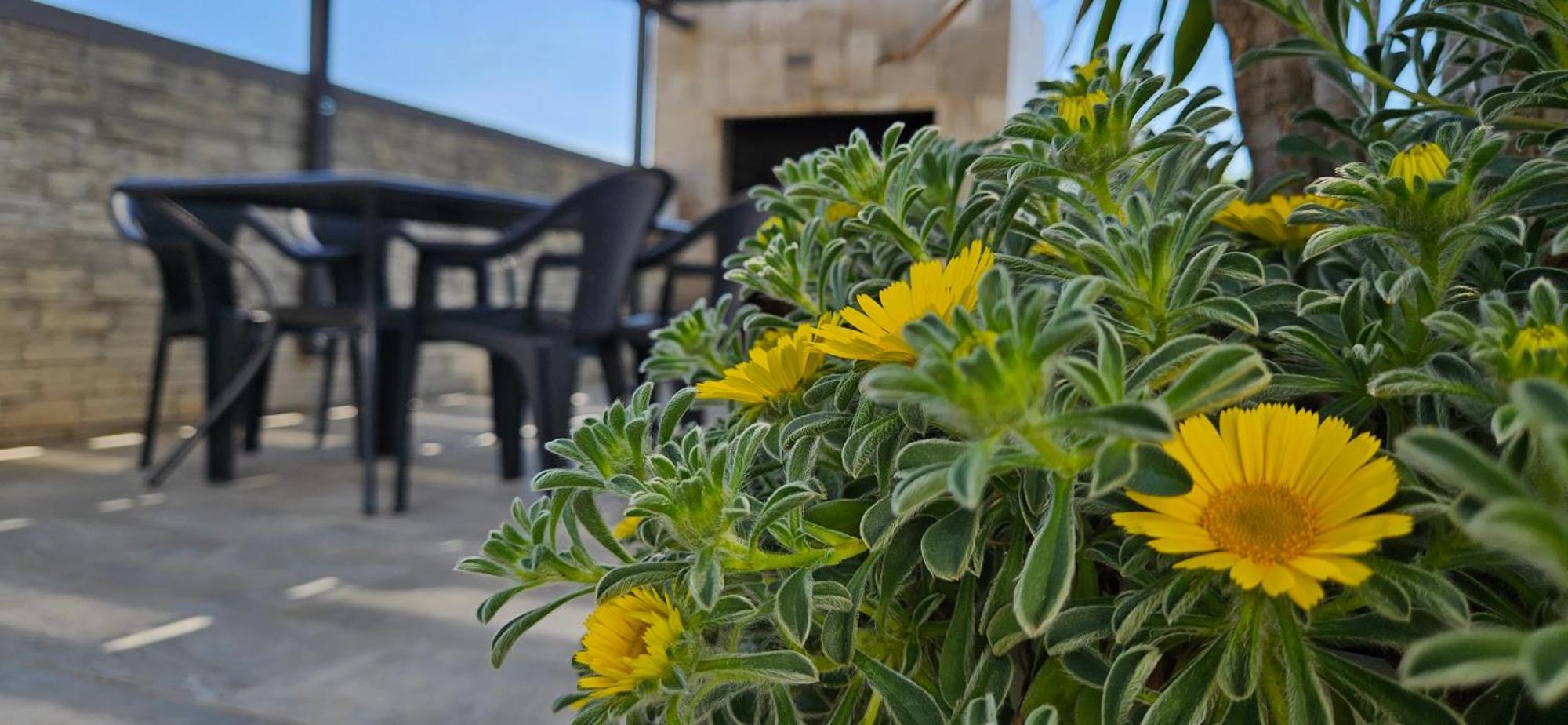 Villa Silver Starigrad Paklenica Zimmer foto